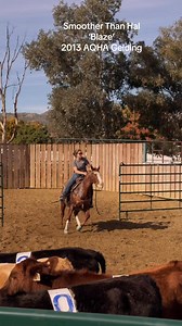 3.6K views · 82 reactions | Second time to swing a leg over this one! If someone wants to step their game up real quick, I know a guy…  Message me for details | Kathy Mitchell | Facebook