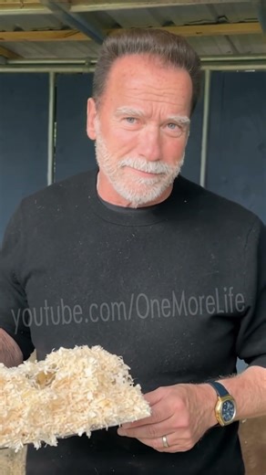 Arnold Schwarzenegger Shares a Short Story...