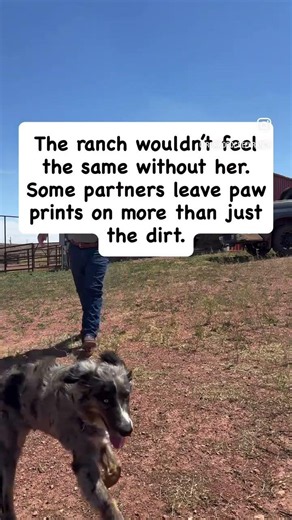 Every Rancher Needs a Partner | Life With My Ranch Dog