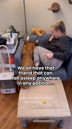 Amber Aquart | Certified Dog Trainer & Pet Behavior Expert on Instagram: "The friend that can fall asleep literally anywhere 😆"