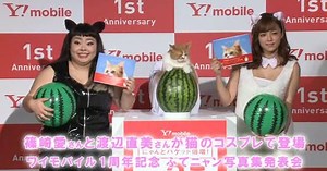 Ai Shinozaki Holds Press Conference with Cat