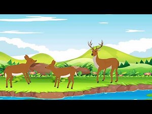 EUROPEAN ANIMALS - animals for children