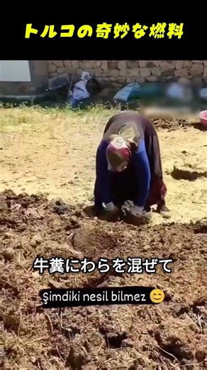 トルコの奇妙な燃料