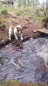 1.3M views · 14K reactions | Mind over matter... | ViralHog | Facebook