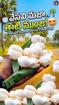 వేసవి స్పెషల్ తాటి ముంజలు! #summerspecial #furniture #summer