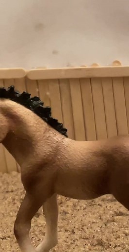 Scleich horses on TikTok