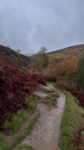 44K views · 1.1K reactions | Morning walks to Bronte Falls #brontecountry #brontefalls #haworth | Bronte Country | Facebook