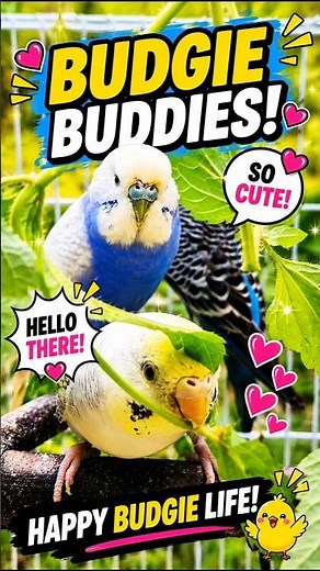 Budgie Buddies! Cute Bird Sounds & Relaxing Nature For Sleep 😍