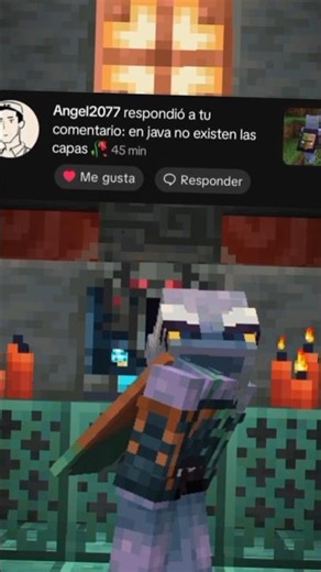 en java no existen las capas #bedrock #minecraft #java #mcpe #blockbench #humor