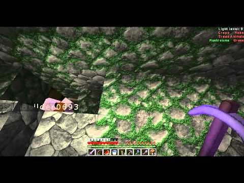 Minecraft - How to Loot a Jungle Temple