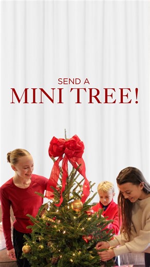 45 reactions · 5 comments | ✨ Big Christmas spirit in a tiny tree! Our farm-fresh mini trees come ready to enjoy, complete with a leak-proof stand, simple care instructions, and twinkling lights Perfect for desks, dorms, small spaces, or gifting a little bit of mountain magic. And yes, We ship anywhere in the U.S!  #giftideas2025 #minichristmastree #realchristmastree | Hart-T-Tree Farms | Facebook