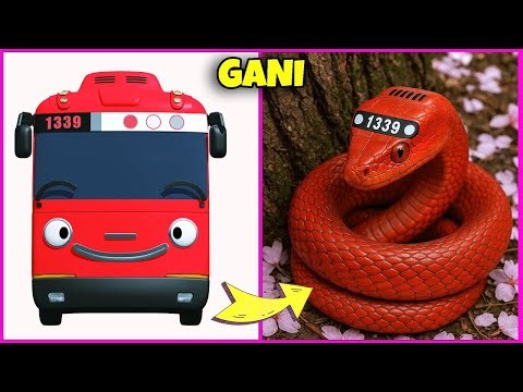 🚍😯Tayo the Little Bus Characters as Snakes – What Would They Look Like? | Tayo, Gani, Rogi, Lani