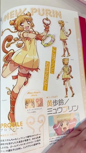 Tokyo Mew Mew New Artbook