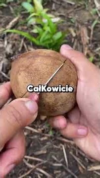 Okłamywanie mojego pasierba to jedyny sposób, żeby nasza rodzina funkcjonowała.