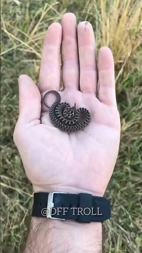 Baby Rattlesnake!
