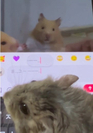 Nothing Phone (4a) Scratch Test by Hamster