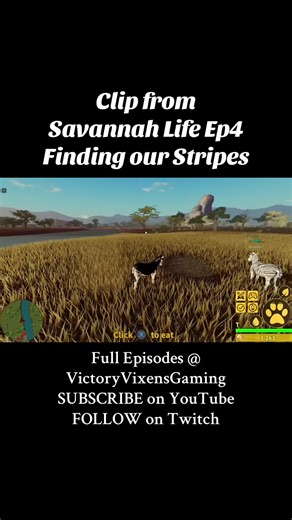Zebra Adventures in Gaming: Survival in the Savannah