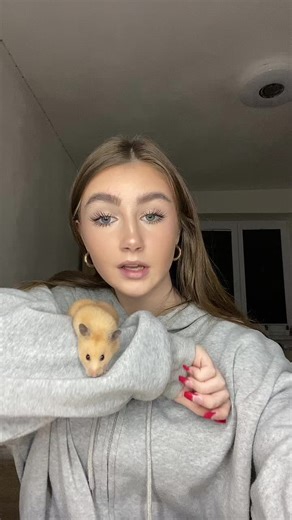 Caring for Your Hamster: Tips for Handling and Play