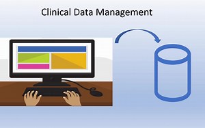 【临床数据管理】Clinical Data Management（中英字幕）