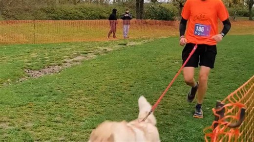 Deuxième édition de la Cani’cross’pattes à Verquigneul avec 720 participants