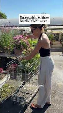 Plant Shopping List #gardening#gardeningtips#plants #shorts