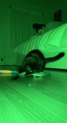 Cat Chases Mouse With a Bat | Comedy Chaos