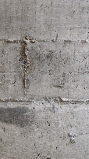 Can I level with you for a second? A musty basement isn’t “just a smell.” It’s mold. And it’s growing where you can’t see it. Behind the drywall. In the carpet. Even in the air you’re breathing. You might not realize it, but: That scratchy throat? Constant sinus issues? Kids always sneezing? It could be coming from down there. I’m Michael Johns, owner of All American Basement Waterproofing. And I’ll be real with you — not every basement issue is an emergency. But if mold is involved, it doesn’t 