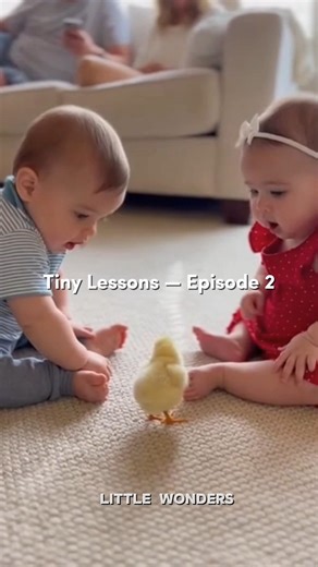 It Walked… They FROZE 🐥😳 | Tiny Lessons Ep.2