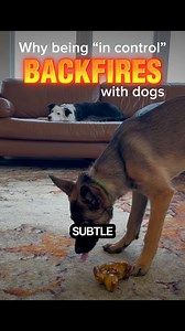 Putting your emphasis on CONTROL when you’re training your dog inevitably backfires, because it creates pressure instead of cooperation. So, I’m not trying to teach Wallace that I control everything he loves. I’m changing the picture so that disengaging and listening to me actually MAKES SENSE to him. Use this link to sign up for BarkBox or Super Chewer and they will give you free extra toys for an ENTIRE year: https://barkbox.pxf.io/c/2362507/3038732/34203 FREE online training guide: https://pu