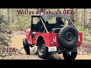 Classic Willys CJ2A // Wheeling Tahuya ORV