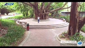 13K views · 272 reactions | FOLDABLE MINI SELFIE DRONE✈️✈️ តំលៃ...