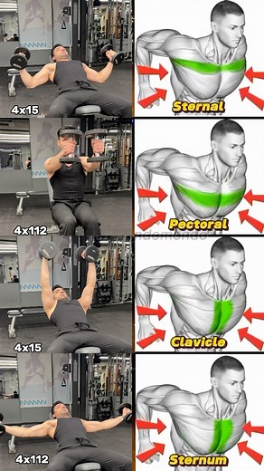 164K views · 996 reactions | Chest Attack with Only Dumbbells &...
