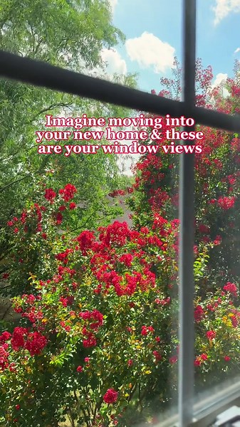 New Home Feels Alive Fall Views That Slay from My Window