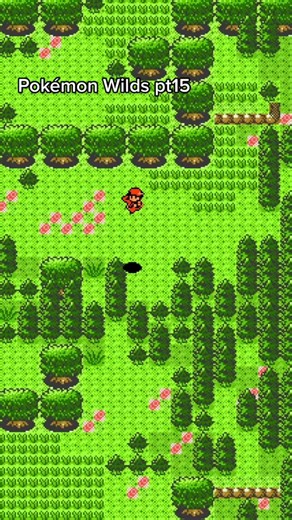 Exploring Charizard Island in Pokémon Wilds