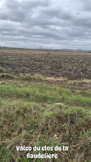 Bruno Hytier on Reels