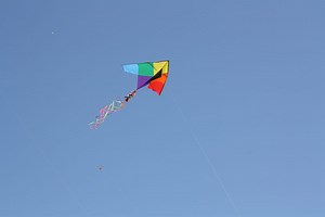 6 Fun Family Activities Perfect for Spring