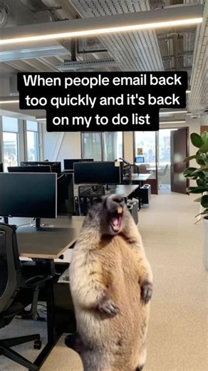When people email back too quickly and it's back on my to do list 💀