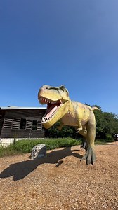7.4K views · 88 reactions | 練 Dinosaurs at the @wildflowercenter  4801 La Crosse Ave, Austin  Daily thru July 17 ️ kids 4 & under are free, tickets are $8-15 秊 11 life-size animatronic dinosaurs with sounds 類 Scavenger hunt with prizes 睊 Dino Nite: June 7, 14, 21, 28 from 6-8:30pm includes a Dino disco, popsicles, excavation station, & more! | Austin Fun For Kids | Facebook