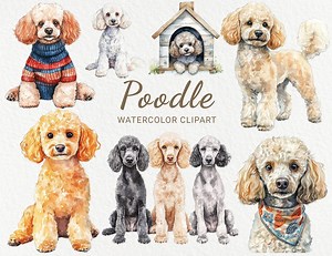Poodle Watercolor Clipart - 24 PNG Cute Dog Clip Art, Dog Breeds Clip Art, Dog Printable Art, Gifts for Dog Owners, Digital Download - Etsy Australia