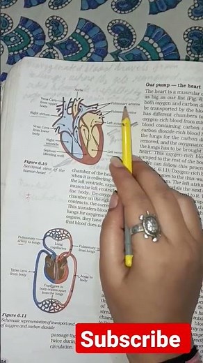 Important Diagrams of Science Chapter 6 Class 10th CBSE BOARD Session 2022-23 #shorts #educationlo