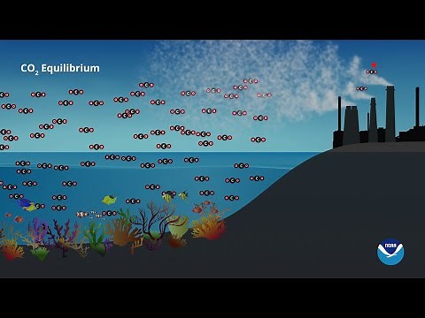 The Ocean: Earth's CO2 Sponge