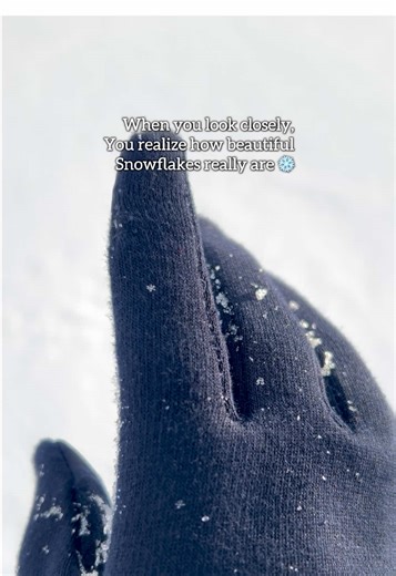 The Beauty of Snowflakes: Nature's Unique Creations