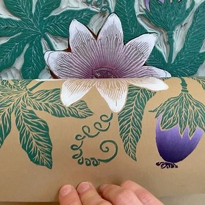 10K views · 738 reactions | “Passiflora Edulis” aka Passion Fruit II...