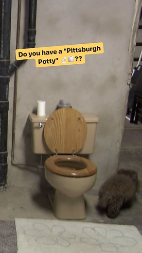WQED on Instagram: "If your house is of a certain age, you might be aware of the “Pittsburgh Potty” lurking downstairs…what’s their origin? Do you have one in your basement? Do you still use it? 😳 @ricksebak takes us “Underground Pittsburgh” in this #TuesdayTimeMachine 🚽"