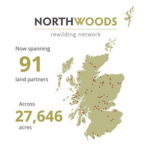Since launching in 2021, our Northwoods Rewilding Network has emerged as a dynamic force for nature recovery – now spanning 91 landholdings across Scotland. From the Borders to Shetland, these sites are united by a shared commitment to nature recovery, with projects taking root across crofts, farms, estates and community-owned lands. In fact, one in five partners is now a local community group, proof that rewilding can flourish at all scales and in all settings. Scotland currently ranks among th