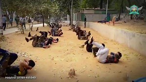 1.3K views · 48 reactions | #Join #ARMY || #NAVY || #AIRFORCE...