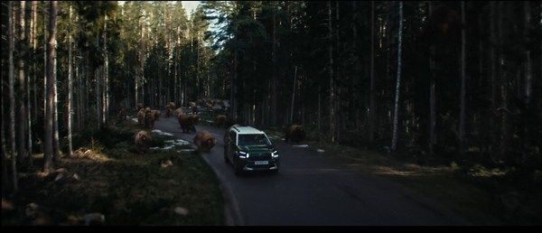 Citroën ad 2025 - a horde of bears