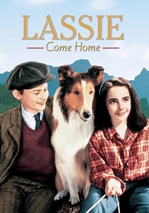 Lassie Come Home - movie: watch stream online
