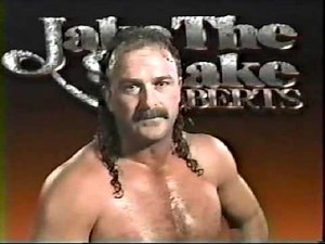 Jake Roberts Promo on Rick Martel (03-03-1991)