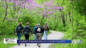 548 reactions · 54 comments | Explore 70,000+ acres and 350 miles of trails in the Forest Preserves of Cook County! Bike, hike, paddle, or join guided activities for all ages and fitness levels. Get outside, get active, and start your next adventure! #sponsored | WGN Morning News | Facebook